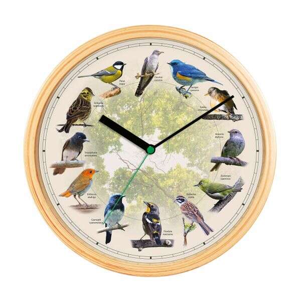 Sound wall clock - Nestly - AI WEB SHOP