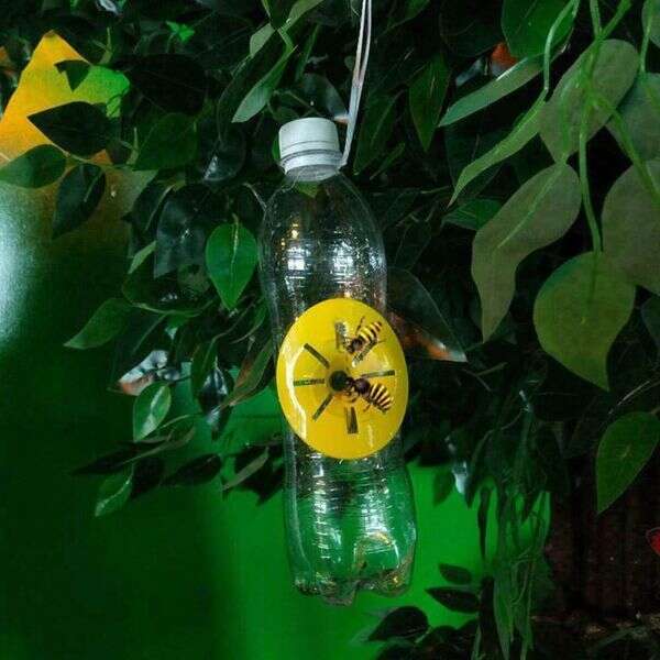 Garden insect trap - Catchix - AI WEB SHOP