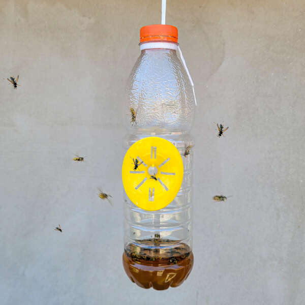 Garden insect trap - Catchix - AI WEB SHOP