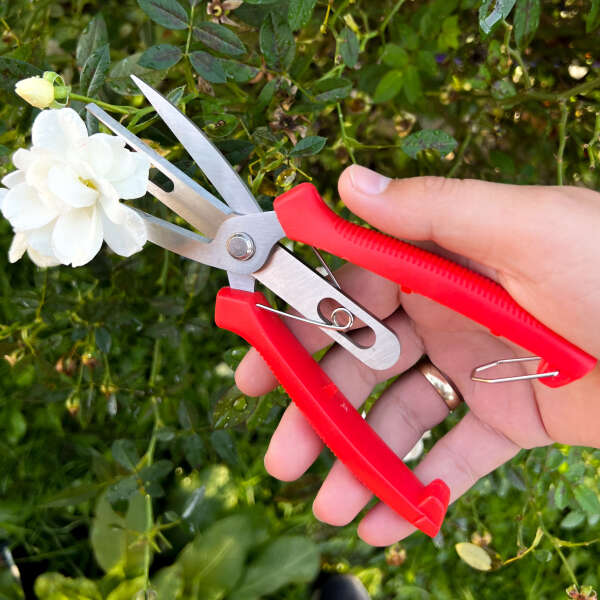 Innovative plant shears - Florano - AI WEB SHOP