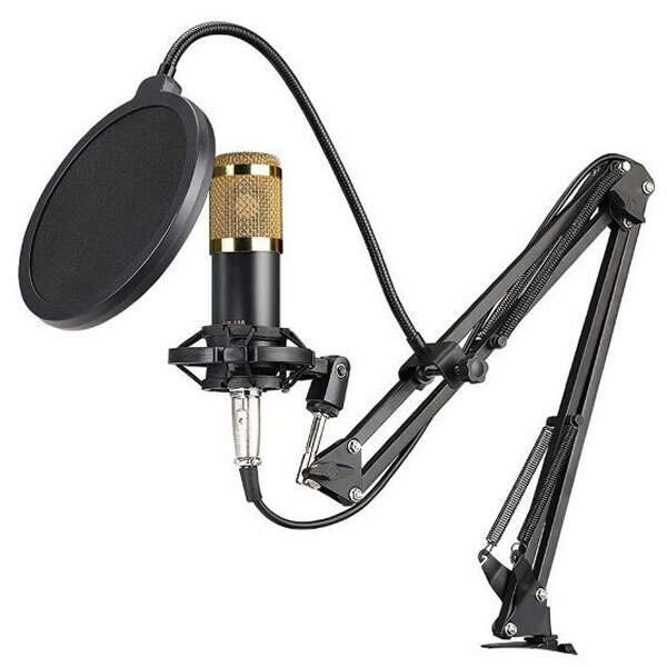 Professional studio microphone - Stadroom - AI WEB SHOP