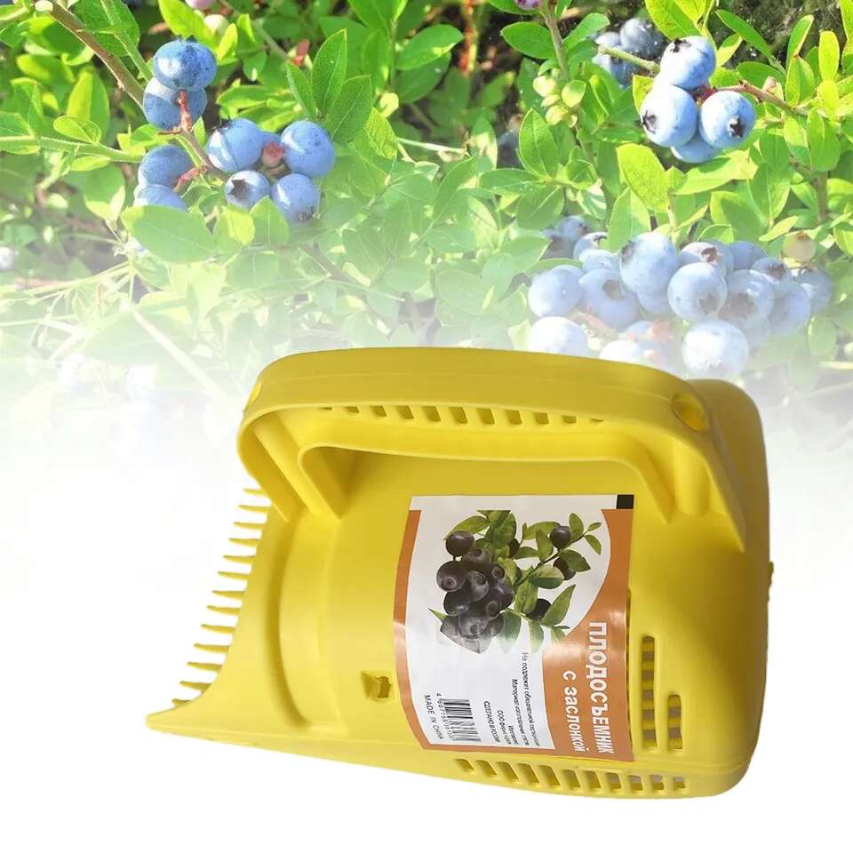 Berry fruits picker - Fruvio - AI WEB SHOP