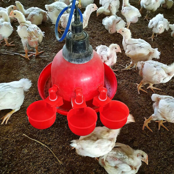 Set for automatic water provision for poultry - PoulCups - AI WEB SHOP