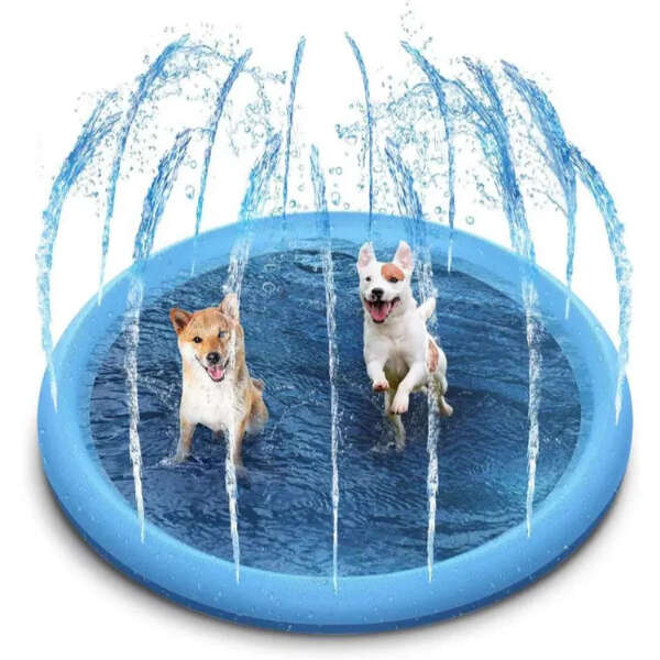 Pool with fountain for kids and pets - Waterlark - AI WEB SHOP